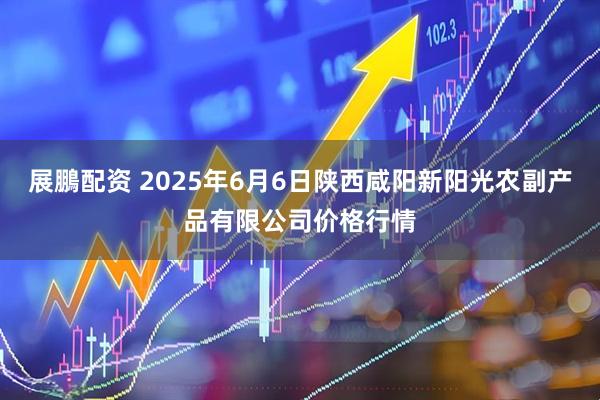 展鵬配资 2025年6月6日陕西咸阳新阳光农副产品有限公司价格行情