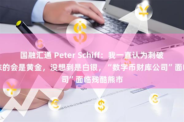 国融汇通 Peter Schiff：我一直认为刺破比特币泡沫的会是黄金，没想到是白银，“数字币财库公司”面临残酷熊市