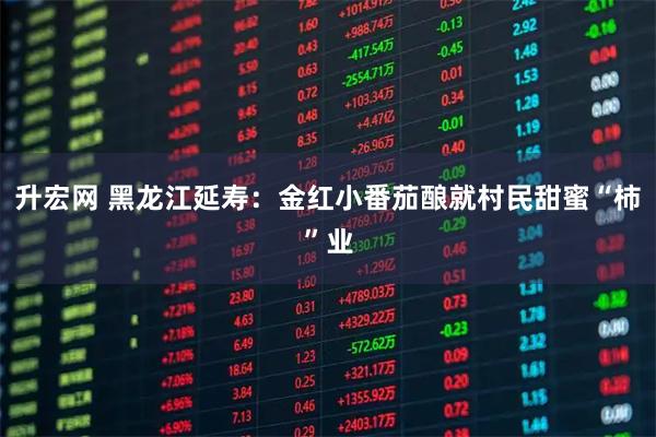 升宏网 黑龙江延寿：金红小番茄酿就村民甜蜜“柿”业