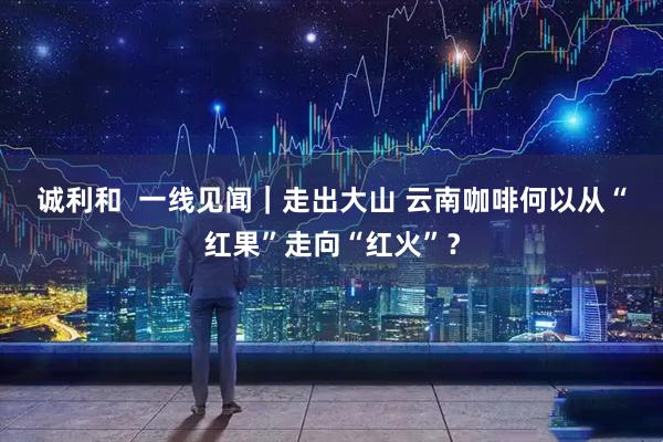 诚利和  一线见闻｜走出大山 云南咖啡何以从“红果”走向“红火”？
