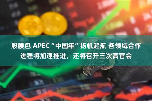股腰包 APEC“中国年”扬帆起航 各领域合作进程将加速推进，还将召开三次高官会