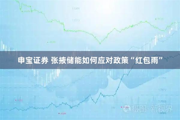 申宝证券 张掖储能如何应对政策“红包雨”